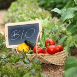 I vantaggi di coltivare Bio