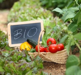 coltivare bio