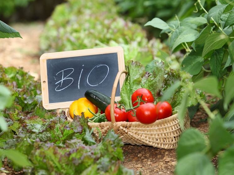 I vantaggi di coltivare Bio